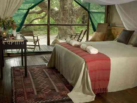 Kosi Forest Lodge